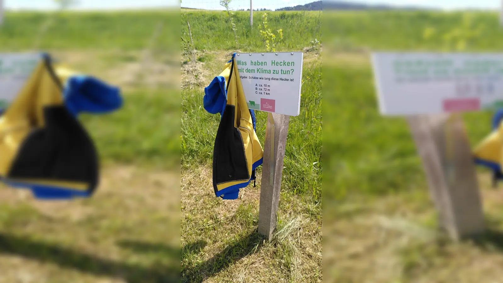 Großes Interesse beim Klimabildungsprojekt des Landkreises: Projekt Klima Im Rucksack, dass im Mai veranstaltet wurde. (Foto: Energiewende Oberland)