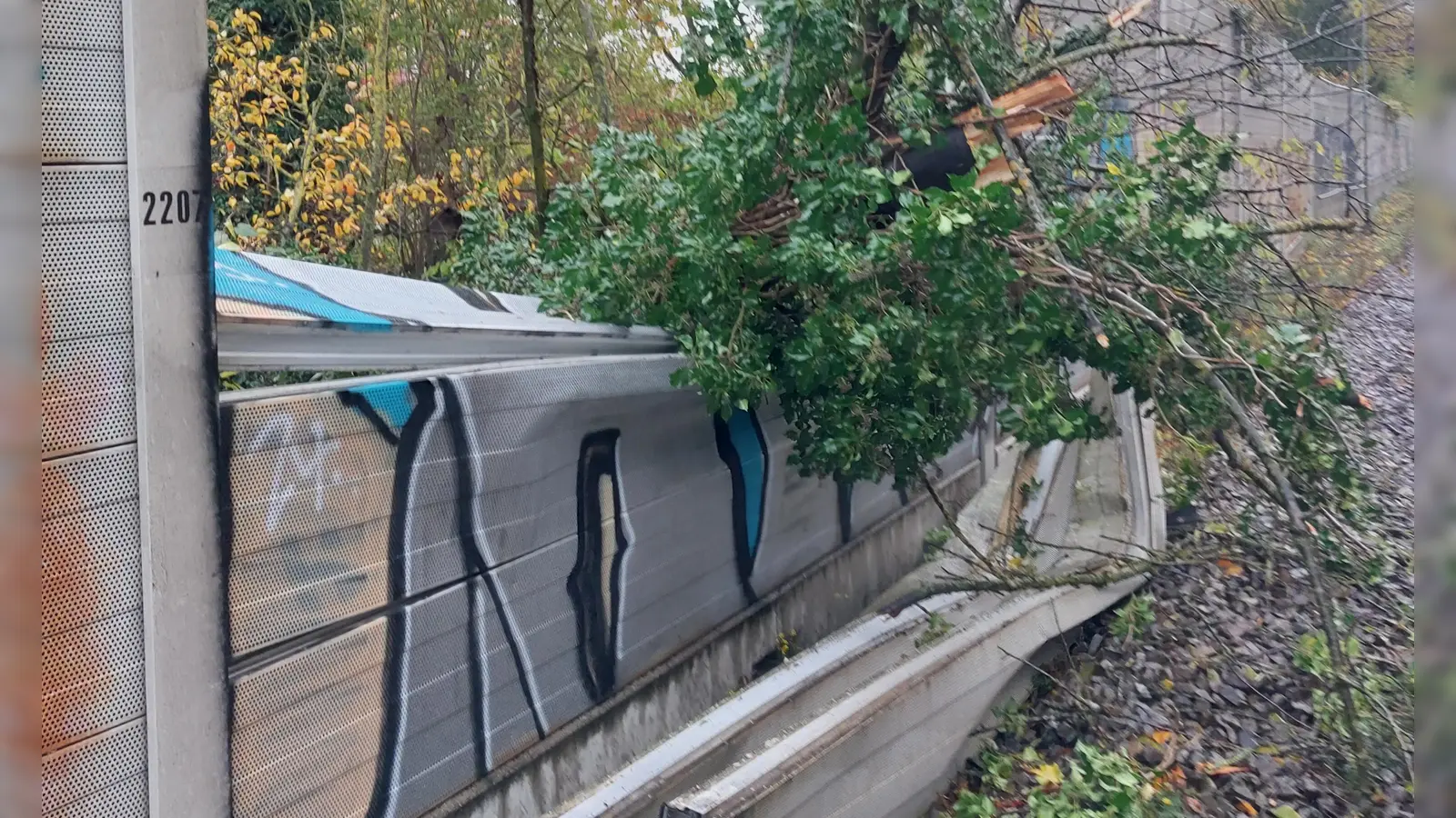 Der Baum drückte erst die Lärmschutzwand ein und schlug anschließend auf einem Regionalexpress auf.  (Foto: Bundespolizei)