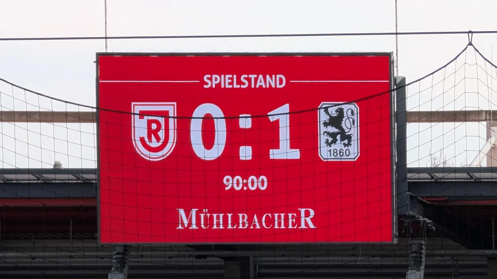 Glückliches Ende: die Löwen in Regensburg.  (Foto: M. Forster)