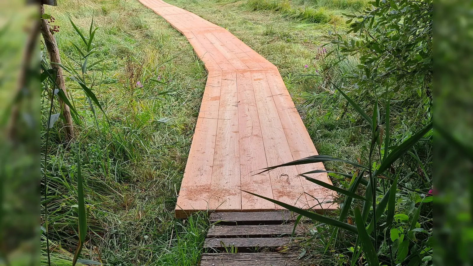 Der neue Bohlensteg bringt die Wanderer trockenen Fußes durch das Moos und verhindert Beschädigungen der sensiblen Natur.  (Foto: Rotary Club Wörthsee)