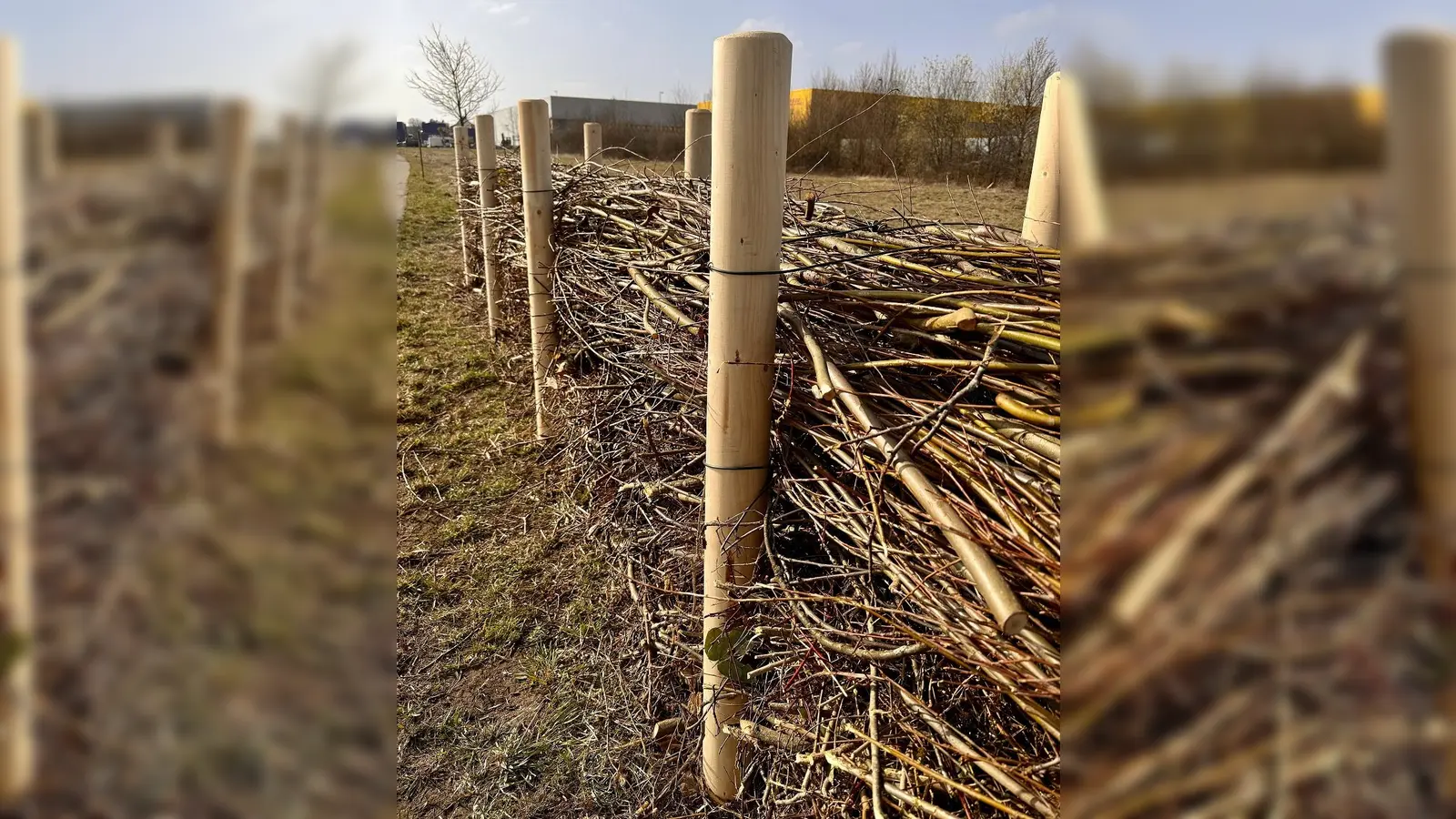 Bei den so genannten „Benjeshecken“ wird Schnittgut locker zwischen Holzpfosten übereinander gelagert.  (Foto: Stadt Germering)