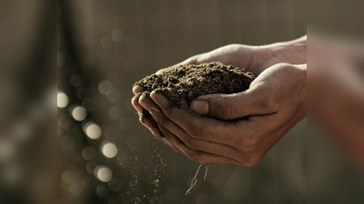 „Boden – Lebensraum und Lebensgrundlage”: das ist der Themenschwerpunkt im bosco, Bürger- und Kulturhaus Gauting. (Foto: Gabriel Jimenez)