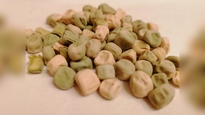 Etwa vor 10.000 Jahren begannen Menschen mit dem Anbau von Erbsen. Diese gehören damit zu den ältesten Kulturpflanzen.  (Foto: job)