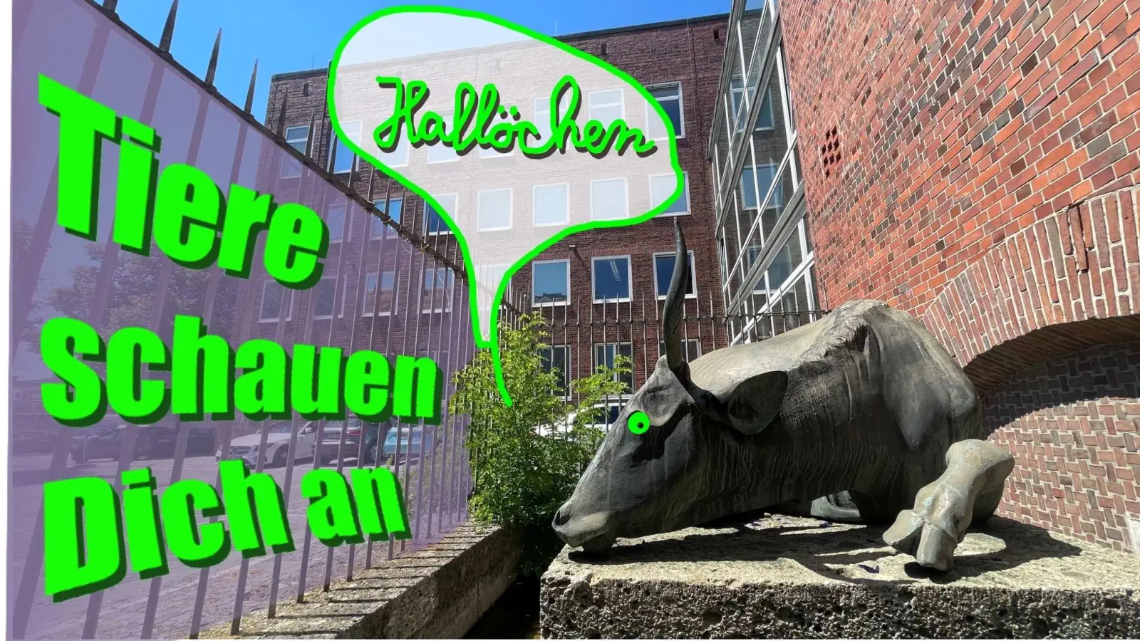 Unter dem Motto „Tiere schauen dich an“ entsteht die erste offene Ausstellung am neuen Standort.  (Foto: Kösk)