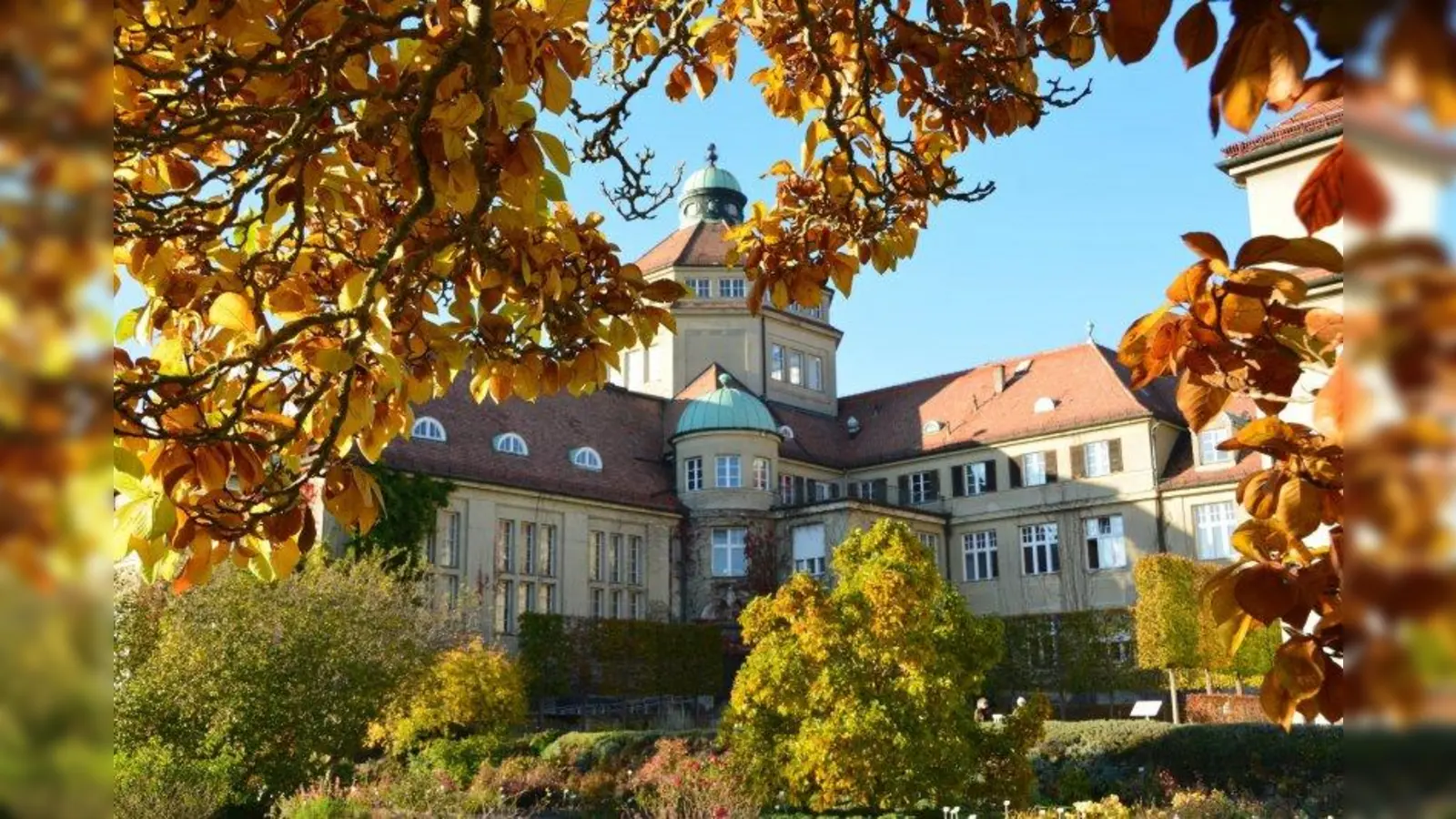 Der Botansiche Garten München erstrahlt in bunten Herbstfarben. Das Freiland kann während der Wintermonate bei kostenlosem Eintritt besichtigt werden. (Foto: Verena Steindl)