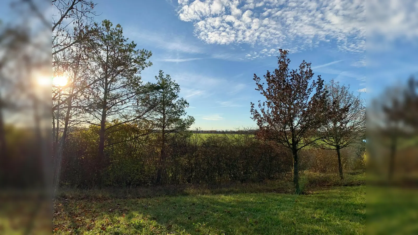 Die Schönheit der Heide genießen und gleichzeitig die vielen sensiblen Tierarten schützen kann man, indem man stets auf den Wegen bleibt.  (Foto: Daniel Mielcarek)