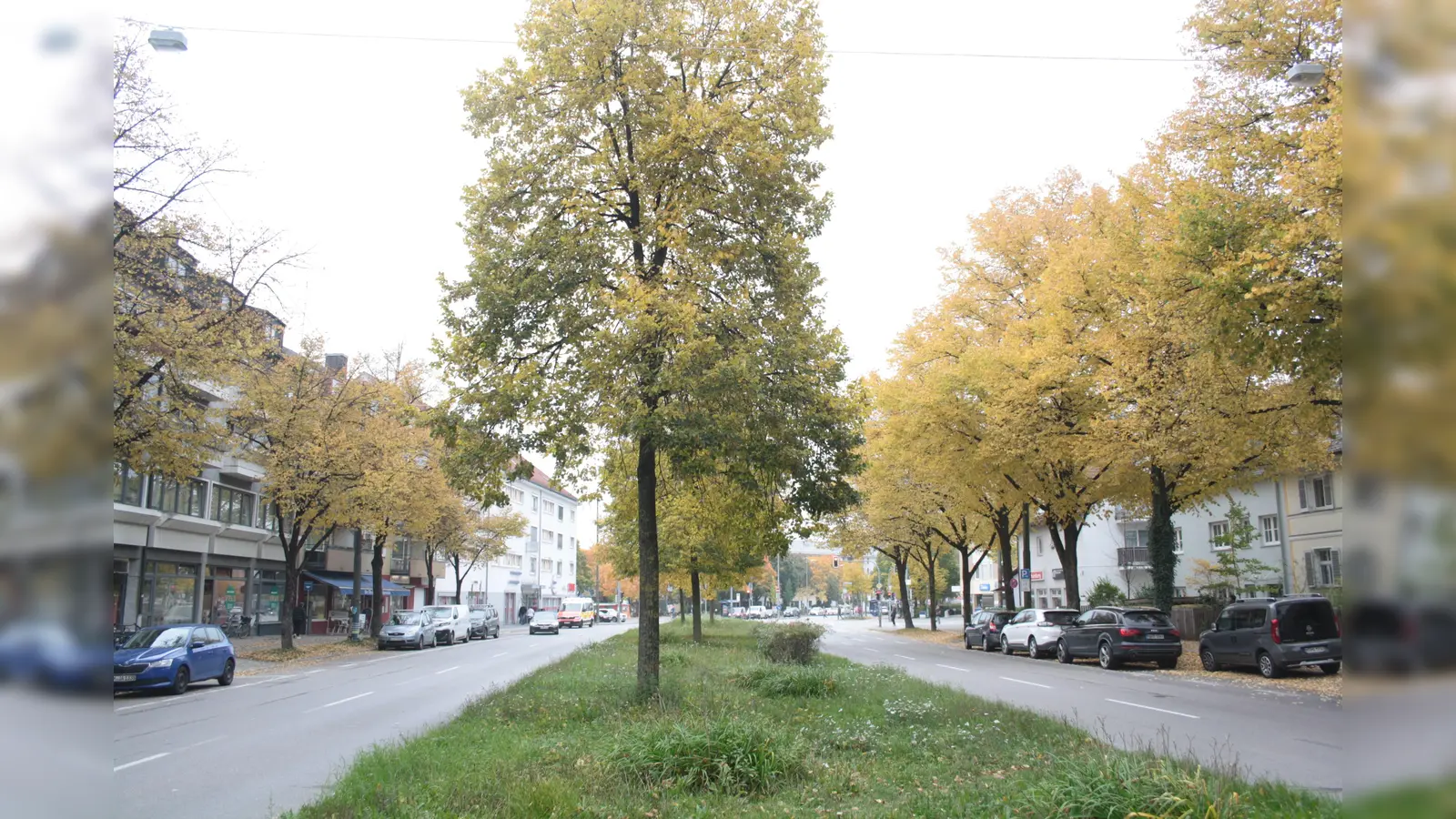 55 Maßnahmen sind für Radler in der Albert-Roßhaupter-Straße denkbar. Vorerst wird aber keine umgesetzt. (Foto: job)