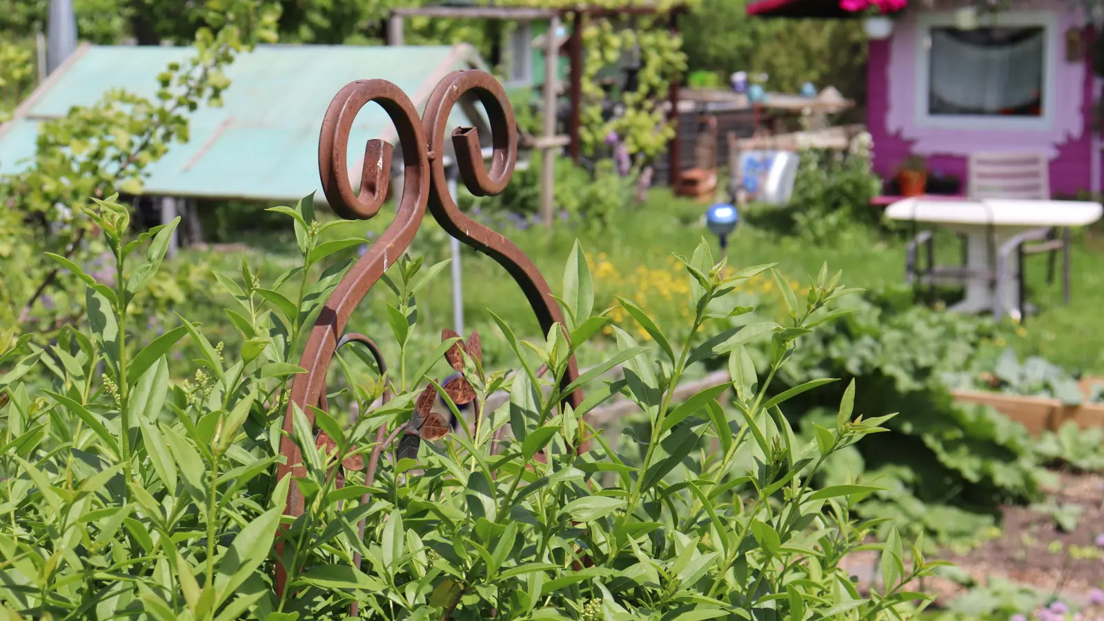 „Der Natur die Gartentüre öffnen” ist der Titel des Aktionstags im HeideHaus.  (Foto: bas)