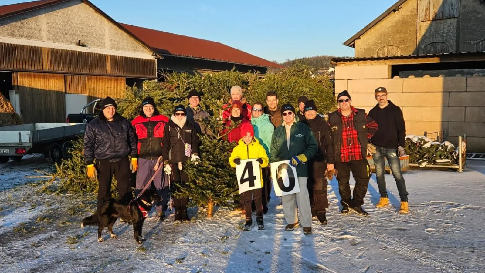 Über 600 Christbäume sammelten die freiwilligen Helfer dieses Jahr ein. (Foto: Hieronymus)