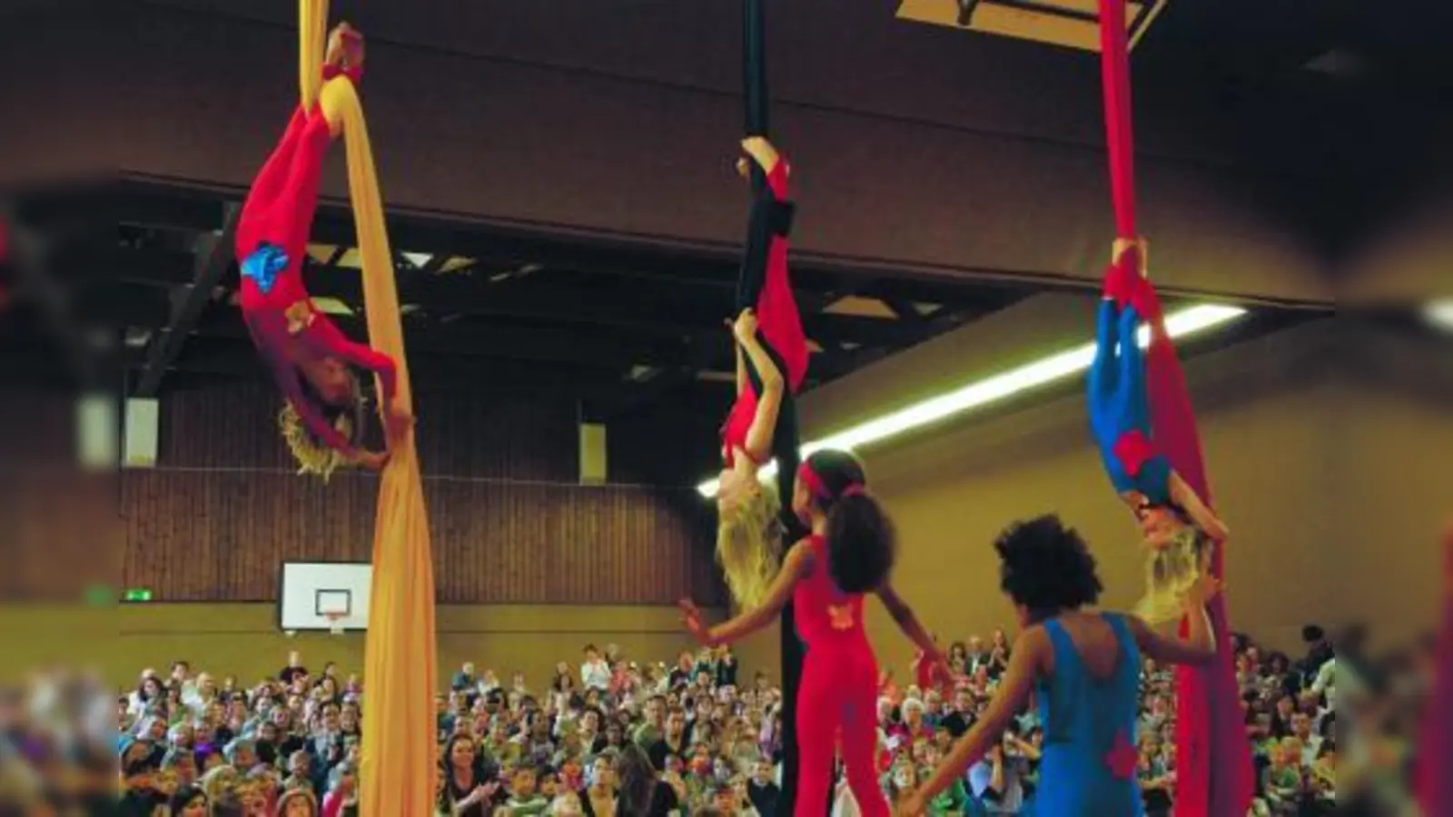 Gelungene Show: Die kleinen Akrobatinnen am Vertikalseil präsentierten in der Sporthalle des TSV NN wagemutige Kunststücke. (Foto: Nicole Richter)