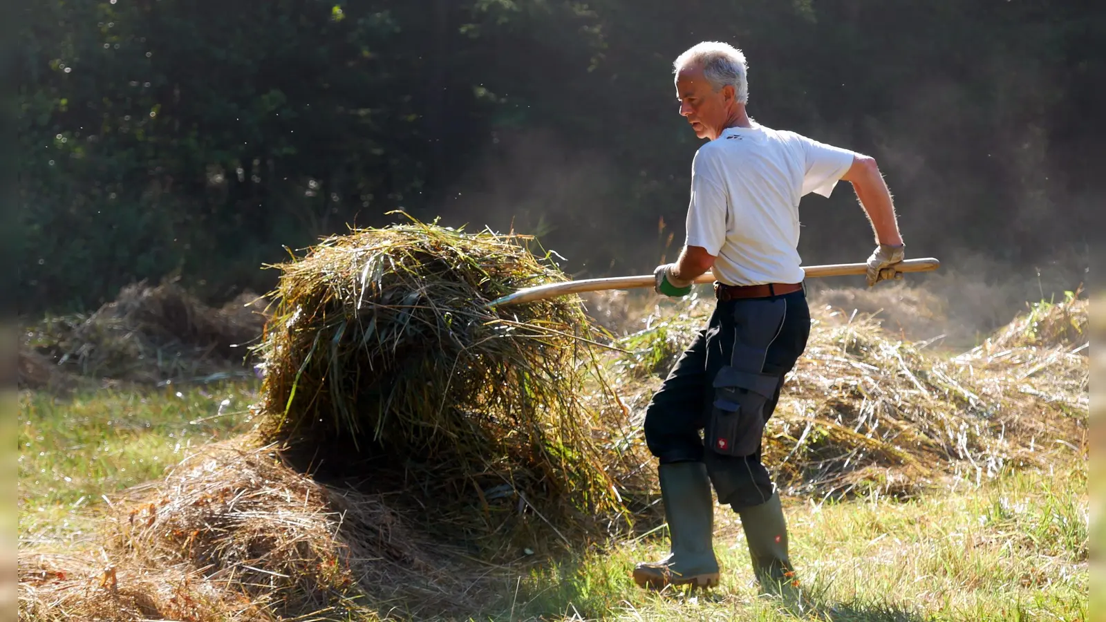 Die Kreisgruppe Starnberg des LBV bittet um Mithilfe beim Abheuen der Barthwiese. (Foto: Klaus Gottschaldt/ LBV)
