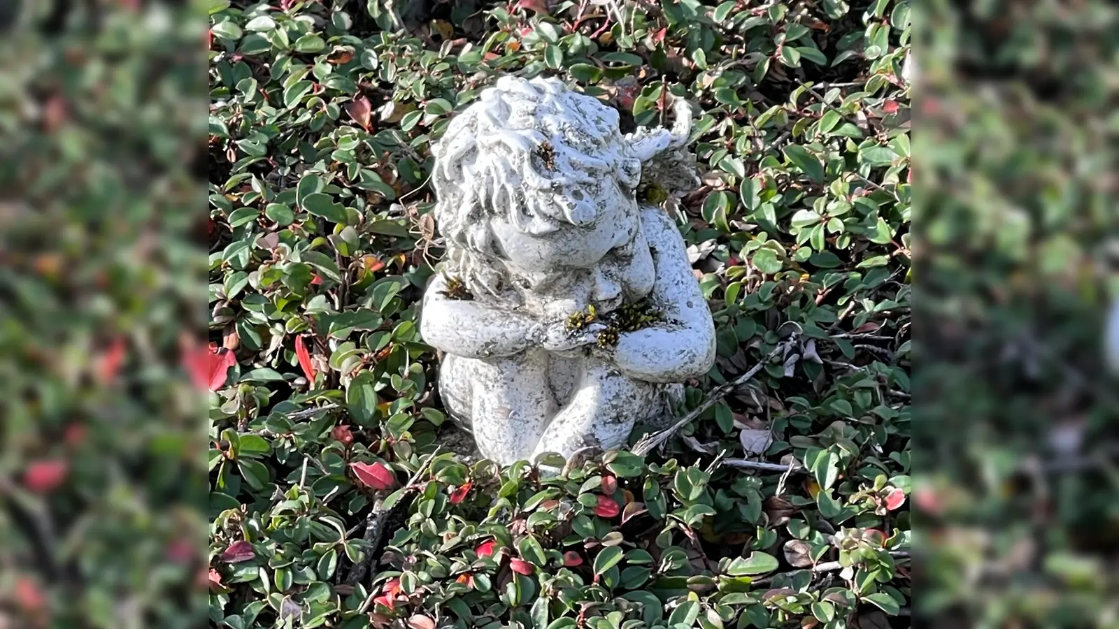 Der Hospizkreis Ottobrunn lässt Kranke und Trauernde mit ihren Sorgen nicht allein, sondern steht ihnen beiseite. (F: hw)