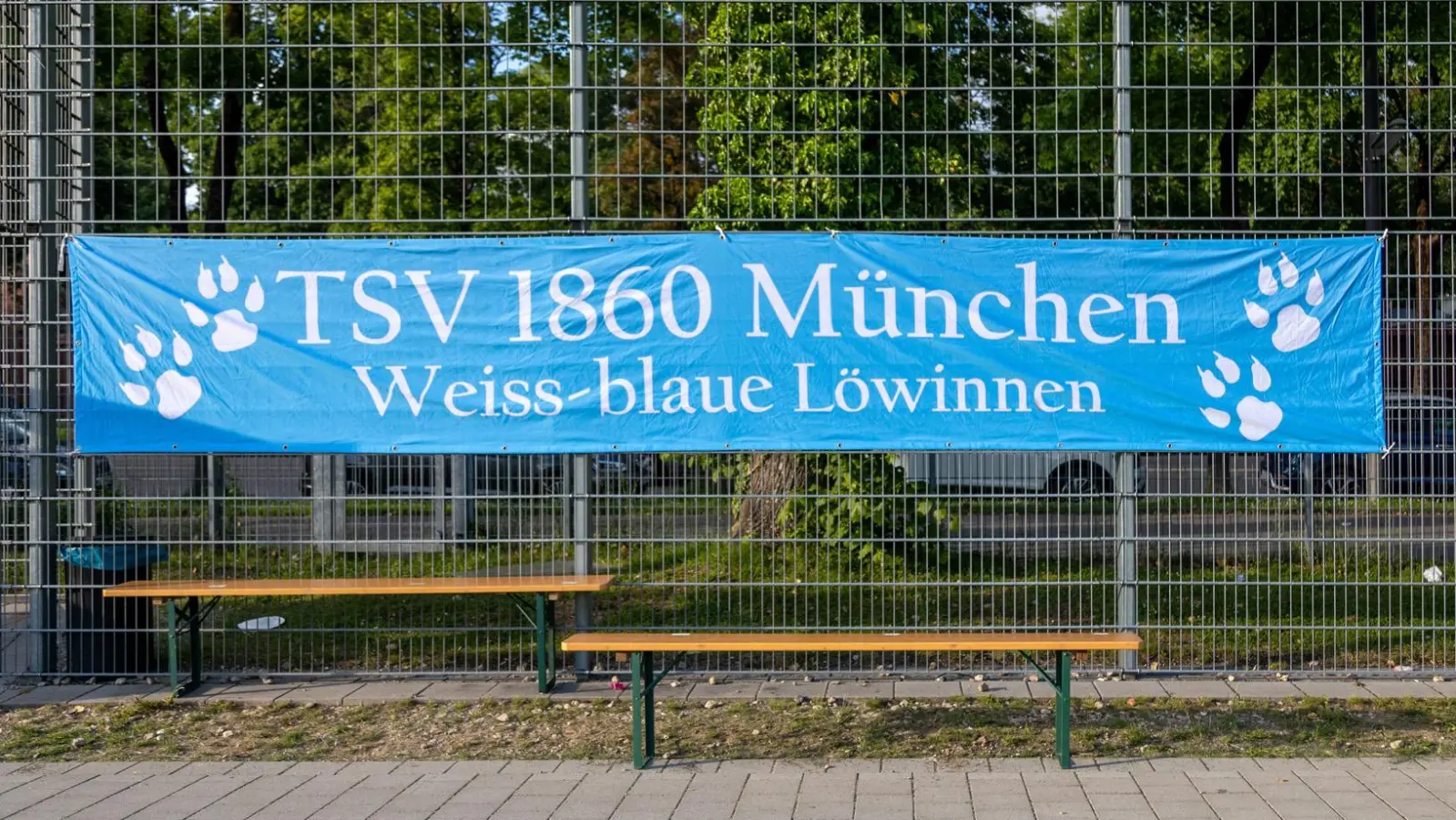 Im Aufwind: Frauenfußball beim TSV 1860 München. (Foto: Anne Wild)