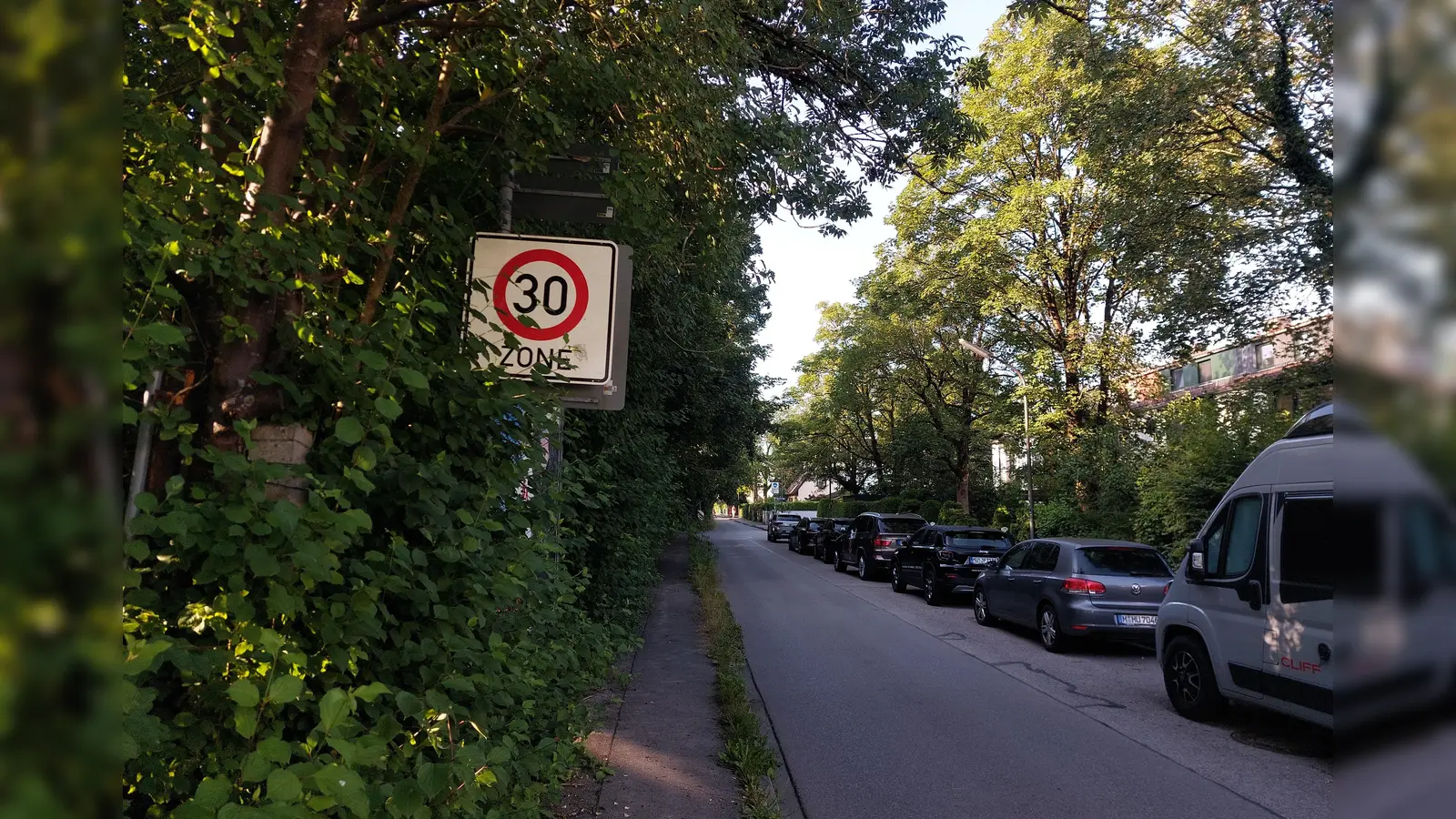 Wo östlich der Marienburger Straße Wildwuchs vorherrscht (links), wird irgendwann der Zugang zu einem neuen Wohnviertel möglich sein. Dabei sollen die Bäume weitgehend erhalten bleiben. (Foto: bas)