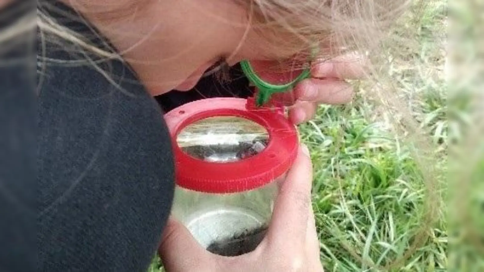 Blick durch die Becherlupe: (Foto: Katharina Platzdasch, LBV)