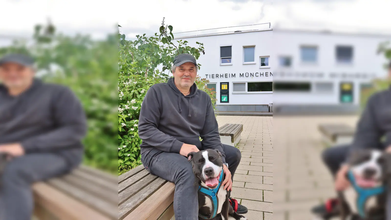 Claus Reichinger, stellv. Vorsitzender des Tierschutzvereins, liegen die Listenhunde besonders am Herzen. (Foto: Tierschutzverein München e.V.)