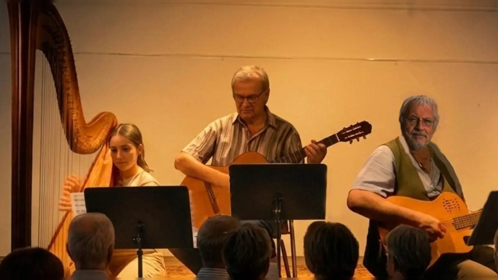 Das Gitarrenduo Rudi Koller &amp; Andreas Biller mit der Harfenistin Lena Hupfer.  (Foto: Rudolf Koller)