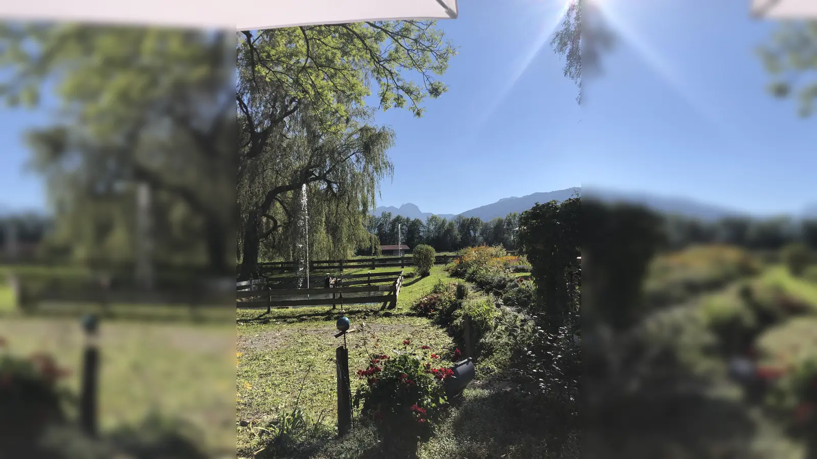 Bei gemeinsamen Wanderungen bleibt Zeit um sich über seine Verluste auszutauschen. (Foto: Hospizkreis)