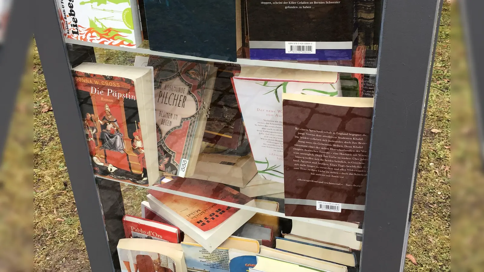 Die Borstei soll demnächst ihren eigenen öffentlichen Bücherschrank bekommen. (Symbolbild: dm)