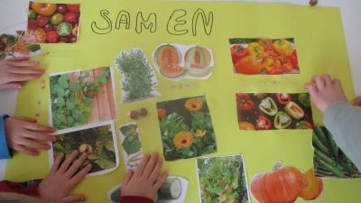 „Der Kreislauf des Lebens - Vom Samen bis zur Ernte“: Mit diesem Thema starteten die Kinder in ihre spannende Forschungsreise. (Foto: Andreas Bacher)