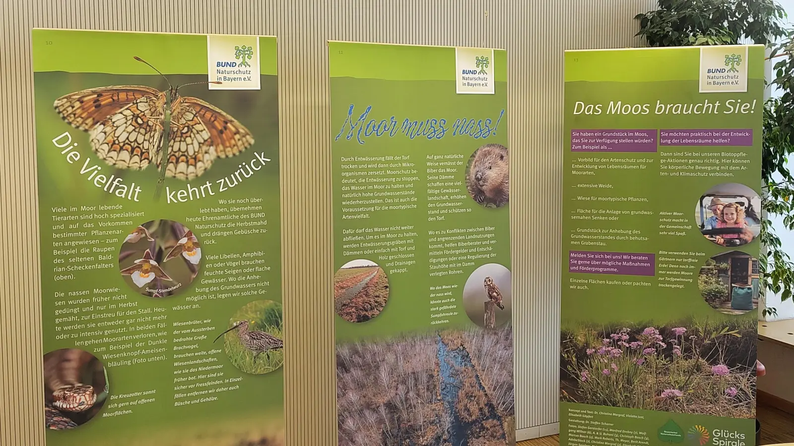 Der Bund Naturschutz, Kreisgruppe Freising, informiert über den „Alleskönner Moor”. (Foto: Stadt Freising)