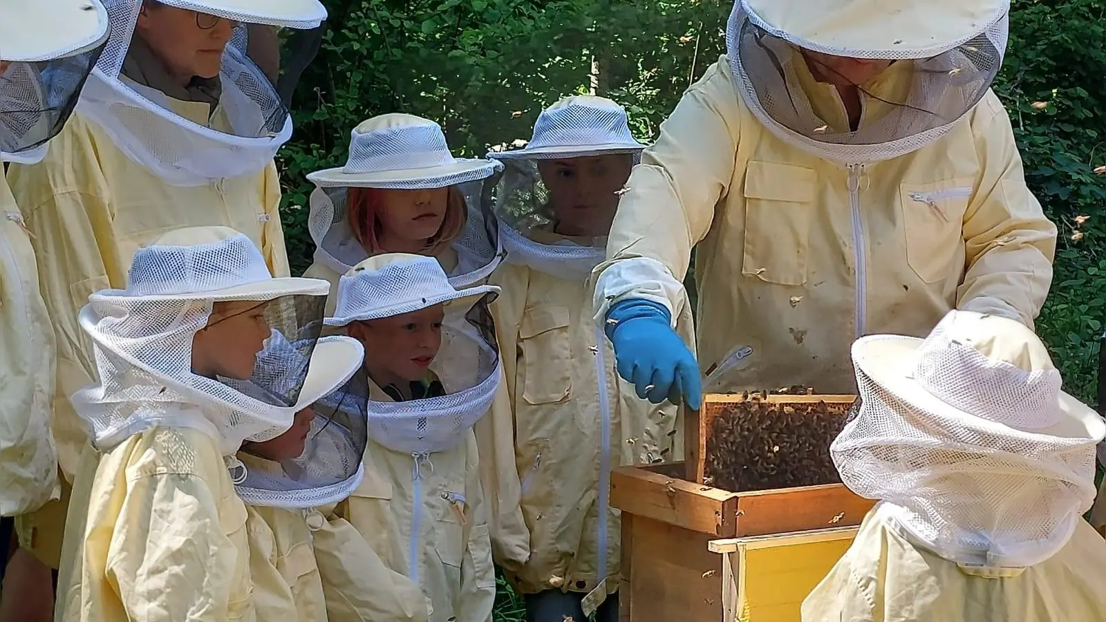 Der Bürgerkreis Berg am Laim freut sich über Besucher am Lehrbienenstand. (Foto: Heiko Oehler )