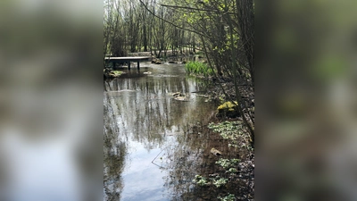 Das Areal rund um den Hachinger Bach im Landschaftspark soll vom Müll befreit werden. (Foto: hw)