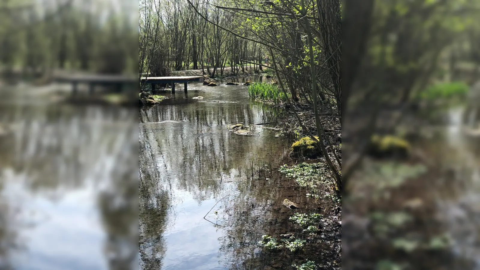 Das Areal rund um den Hachinger Bach im Landschaftspark soll vom Müll befreit werden. (Foto: hw)