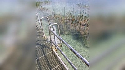 Der Badesteg führt direkt zum Schilfgürtel. (Foto: Trapp)