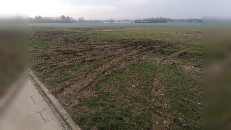 Die Wiese an der Silberdistelstraße. (Foto: job)