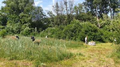 „Draußen an der frischen Luft sein, nette gleichgesinnte Menschen kennenlernen und etwas Gutes für unsere Natur und Gesellschaft tun – das liebe ich an der ehrenamtlichen Biotoppflege beim LBV München. Ich bin seit über neun Jahren dabei und freue mich auf jeden neuen Einsatz”, sagt LBV-Helferin Anneliese Füß, 69. (Foto: LBV)