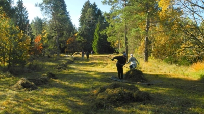 Zum Abheuen im ehemaligen Pionierübungsgelände werden noch Helferinnen und Helfer gesucht. (Foto: Horst Guckelsberger)