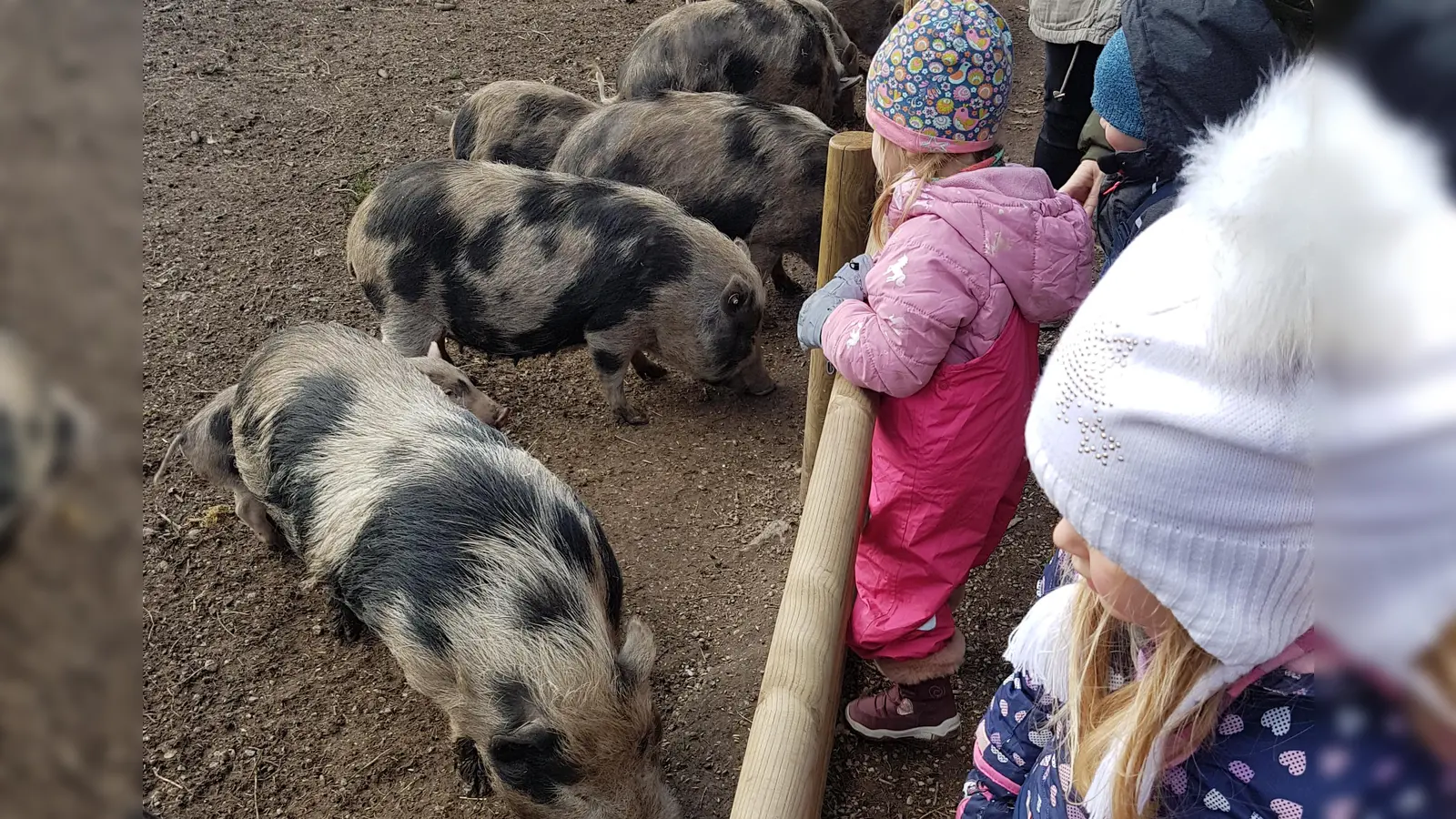 Im Wildpark Poing kommen große und kleine Tierliebhaber auf ihre Kosten.  (Foto: bs)