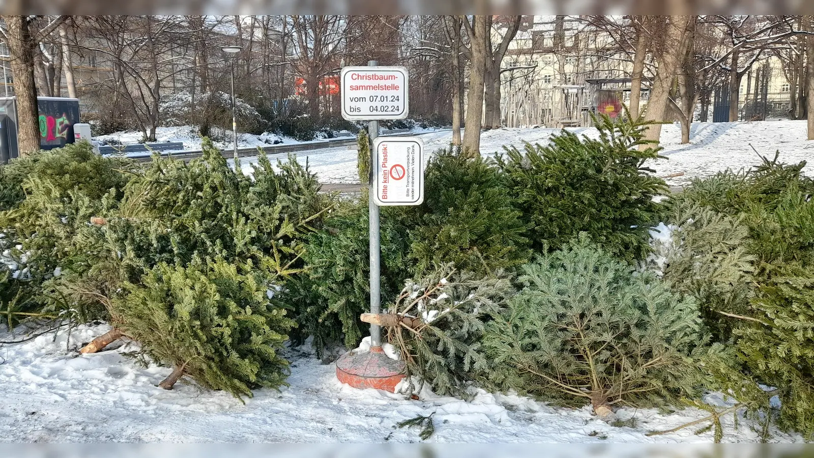 Im Georg-Freundorfer-Park wurde eine neue Christbaum-Sammelstelle eingerichtet, wo bis zum 4. Februar ausgediente Weihnachtsbäume abgelegt werden können. (Foto: Beatrix Köber)