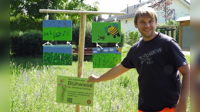 Gärtnermeister Matthew Donnelly stellt die Infotafeln auf der Blühfläche an der Watzmannstraße auf. (Foto: pst)