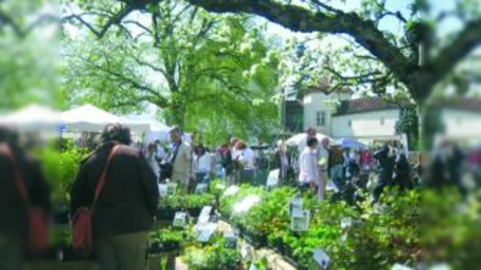 Die Messe „München blüht“ machte ihrem Namen alle Ehre und bot den Besuchern viele Blumen und Informationen zu Garten-Themen. (Foto: Veranstalter)