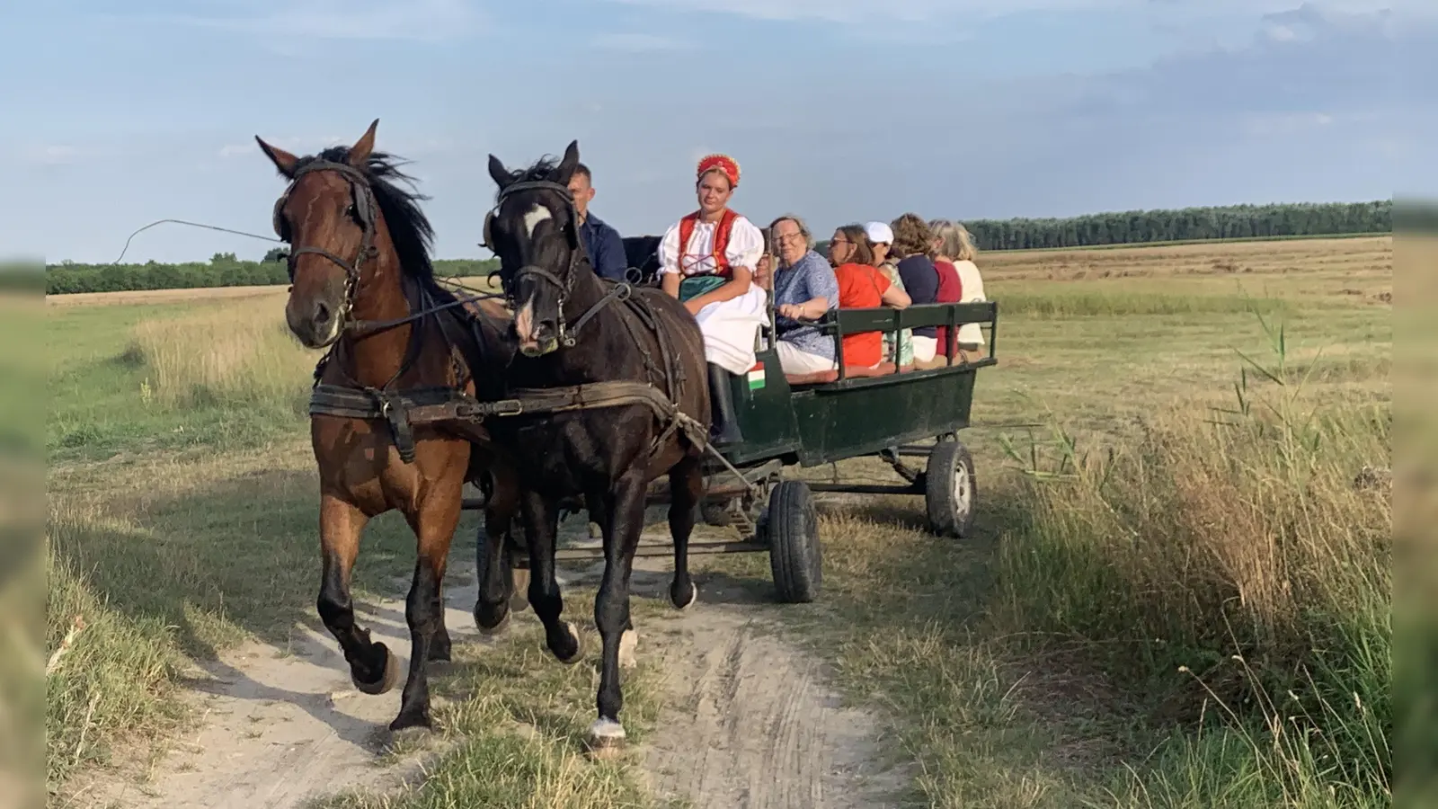 Auch mit der Pferdekutsche war die Reisegruppe der Bürgervereinigung Ottendichl unterwegs. (Foto: Verein)