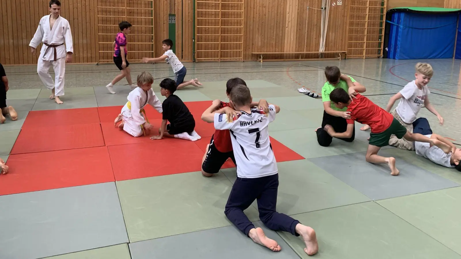 Die Kinder der Grundschule an der Kirchenstraße lernten bei den Projekttagen die Sportart Judo kennen. (Foto: Grundschule)
