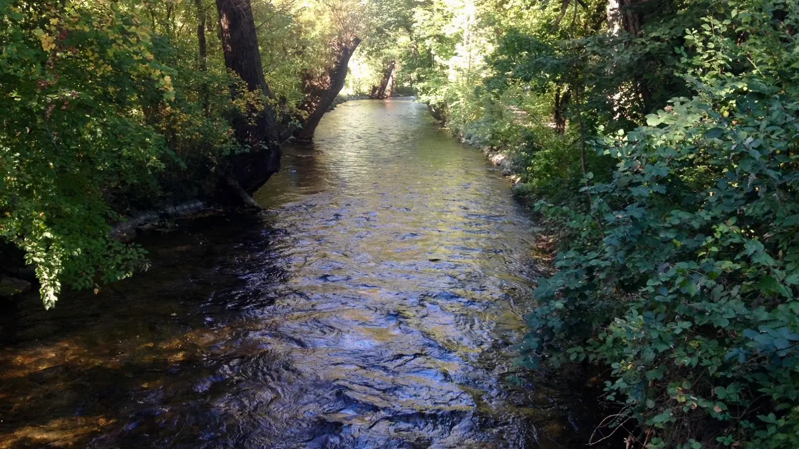 Die Würm ist ein idyllischer kleiner Fluss. Bei einem extremen Hochwasser könnte es aber auch hier ungemütlich werden. (Foto: bb)
