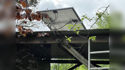 Es muss nicht immer der Balkon sein, auch auf dem Gartenschuppen passen die Solarmodule. (Foto: pst)