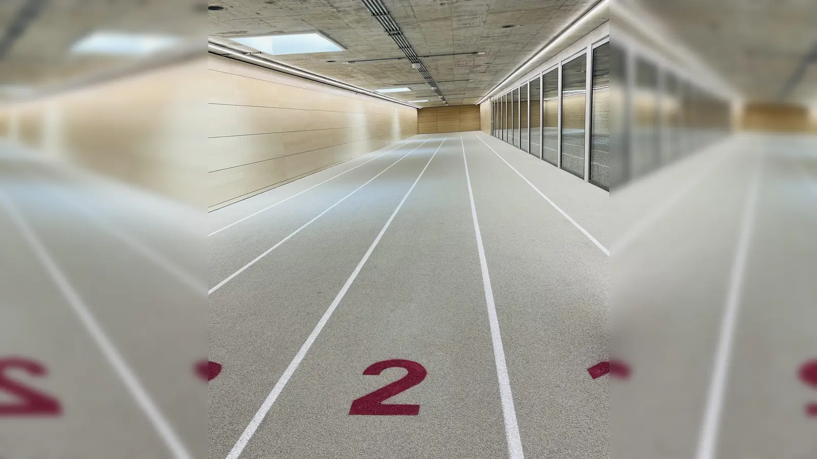 Der Sprinttunnel im Untergeschoss bekommt durch Oberlichter Tageslicht. (Foto: Birgit Doll)