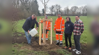 Landrat Stefan Löwl freute sich gemeinsam mit Stefan Grimm, Umweltbeauftragter der Gemeinde Karlsfeld, Sebastian Helmer, Naturschutzfachkraft der unteren Naturschutzbehörde, und Mitarbeitern des Bauhofs Karlsfeld über die neuen Birken. (Foto: LRA/Sina Török)