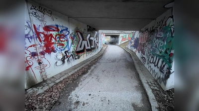Kooperationsprojekt: Die Unterführung unter der Eichenallee soll künstlerisch gestaltet werden. (Foto: red)