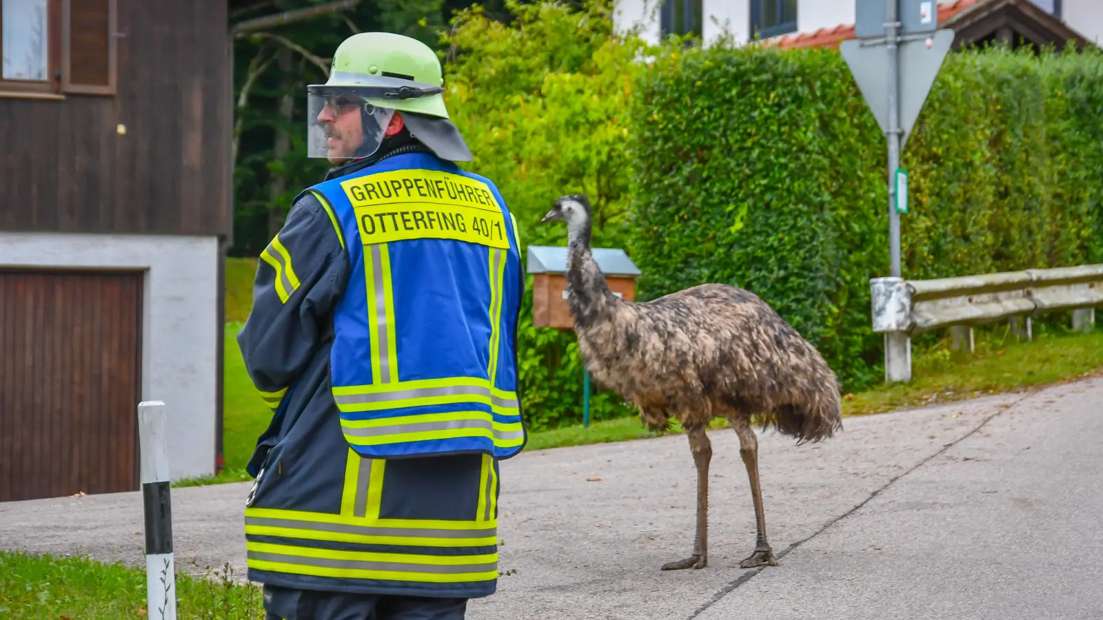 Unternehmungslustig war ein Emu aus Otterfing, der den Ort auf eigene Faust erkundete. Die FFW Otterfing alarmierte den Besitzer.  (Foto: FFW Otterfing)
