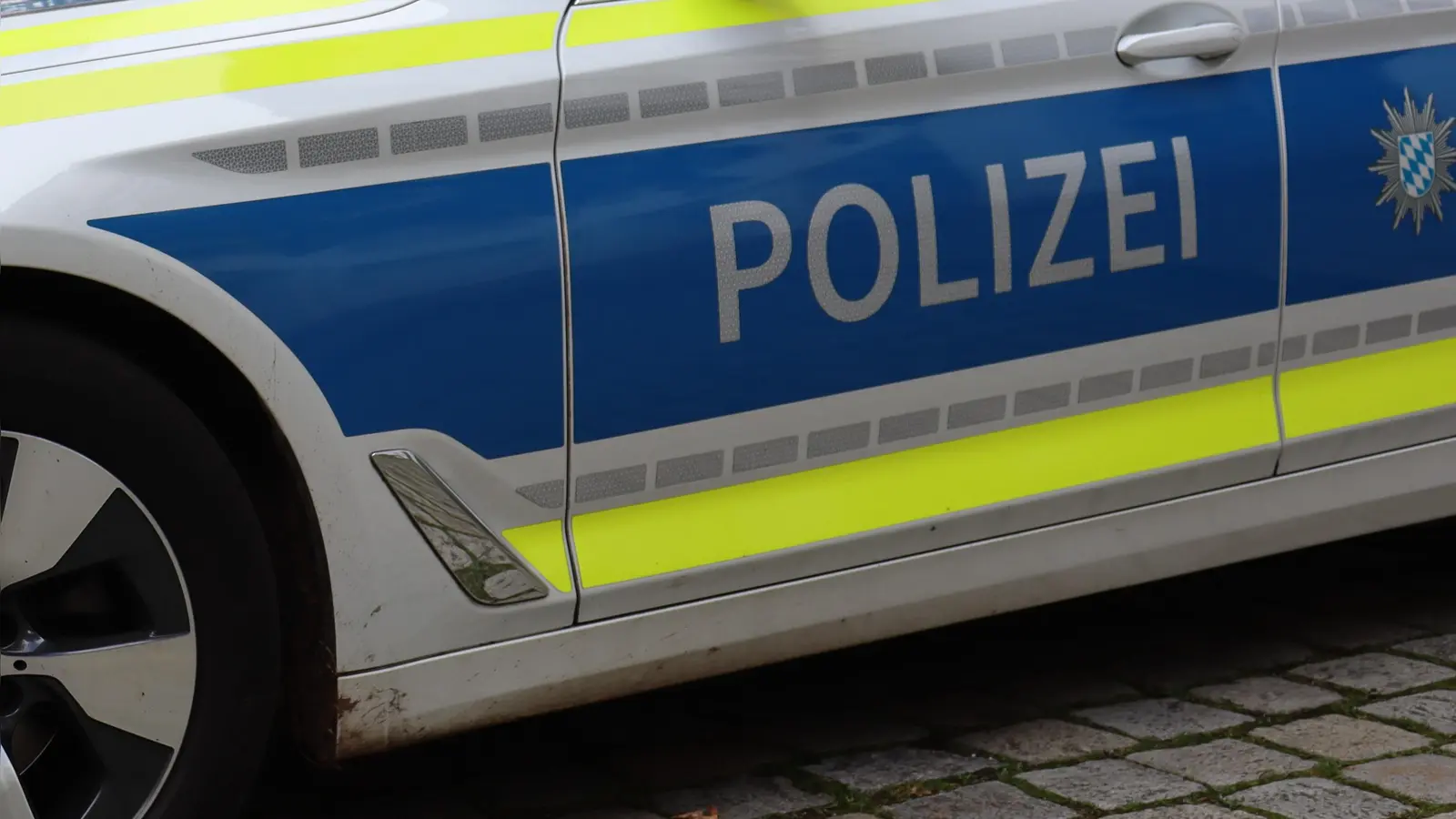 Stich- und Schnittverletzungen am Oberkörper und am Kopf hatte eine 49-Jährige nach einem Streit. Die Polizei konnte den Tatverdächtigen am S-Bahnhof aufgreifen. (Foto: mha)
