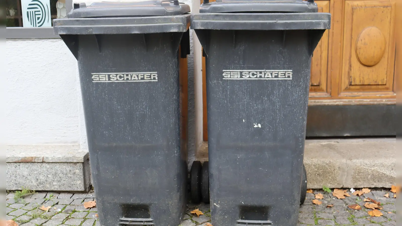 Neue Leerungstermine für Mülltonnen gibt es in mehreren Stadtbezirken.  (Foto: mha)