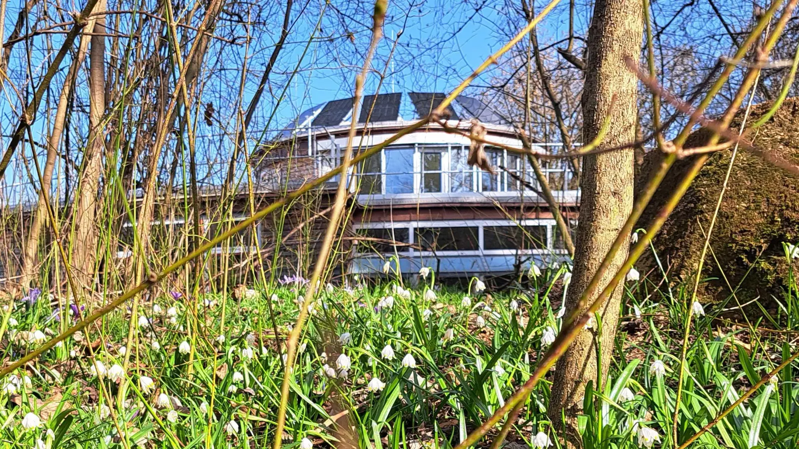 Das Ökologische Bildungszentrum München lädt für Sonntag zu einem Nachmittagsprogramm für Kinder und ihre Familien ein. (Foto: ÖBZ Munchen)